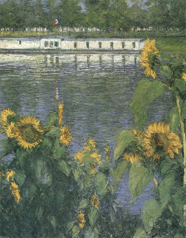 Gustave Caillebotte The sunflowers of waterside oil painting image